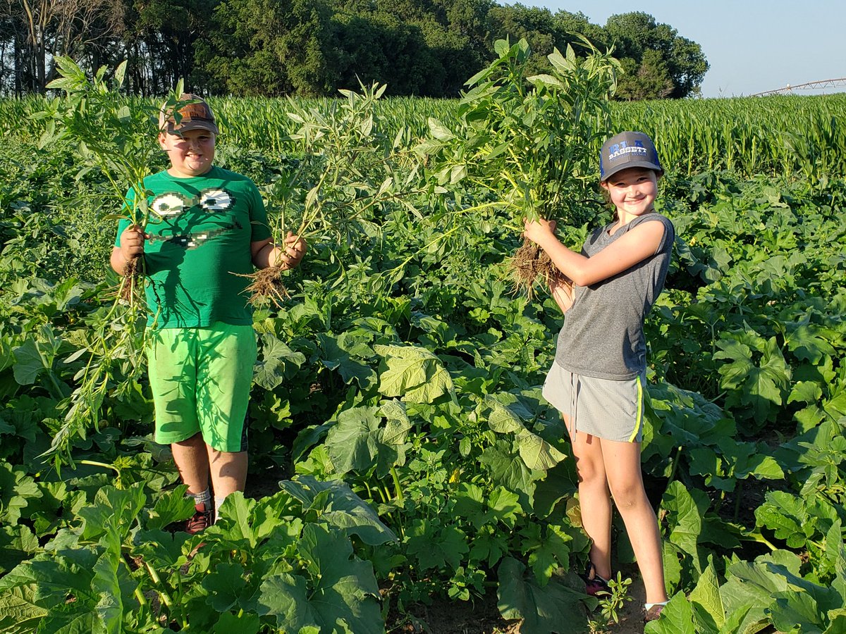 crazpumpkins's tweet photo. The pumpkins are looking great and so is this awesome weeding crew! ❤ https://t.co/oyhOUgtfSg