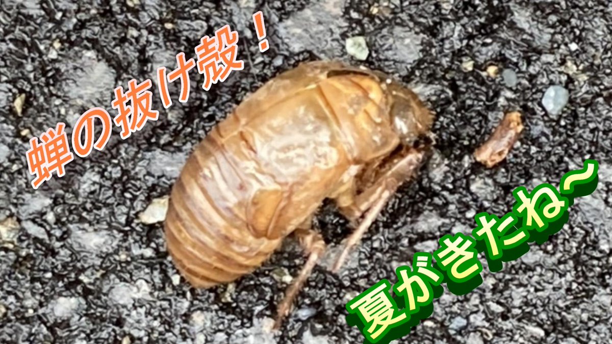就労継続支援a型事業所おんふぁーむ 7月9日 金 おんふぁ むは木 金 土曜日17 30から 30まで 焼肉食堂 をやってま す 424 0854 静岡県静岡市清水区中矢部町14 8が住所です 良かったらお越しください お願いします 発芽ニンニク A型 就労継続支援a型事業所おんふぁーむ 7月9日 金 おんふぁ むは木 金 土曜日17 30から 30まで 焼肉食堂 をやってま す 424 0854 静岡県静岡市清水区中矢部町14 8が住所です 良かったらお越しください お願いします 発芽ニンニク A型