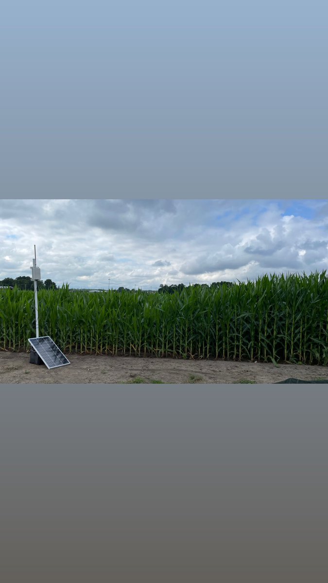 Teralytic tweet media