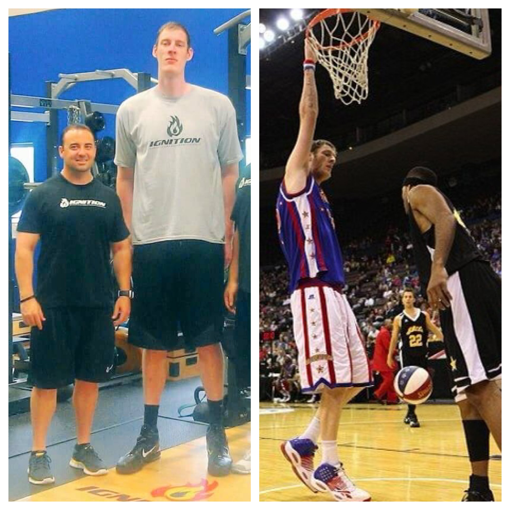 the world's tallest basketball player