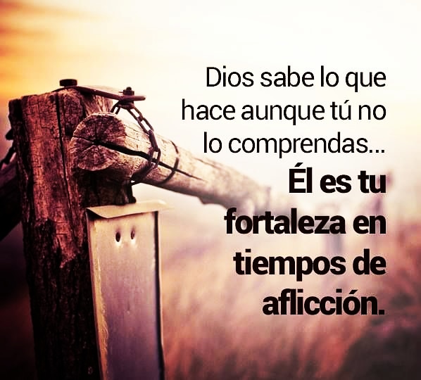 heraldoscr's tweet photo. Buenas Noches herman@s!!! ... Bendiabrazos!!! https://t.co/P0ae0SUZEM