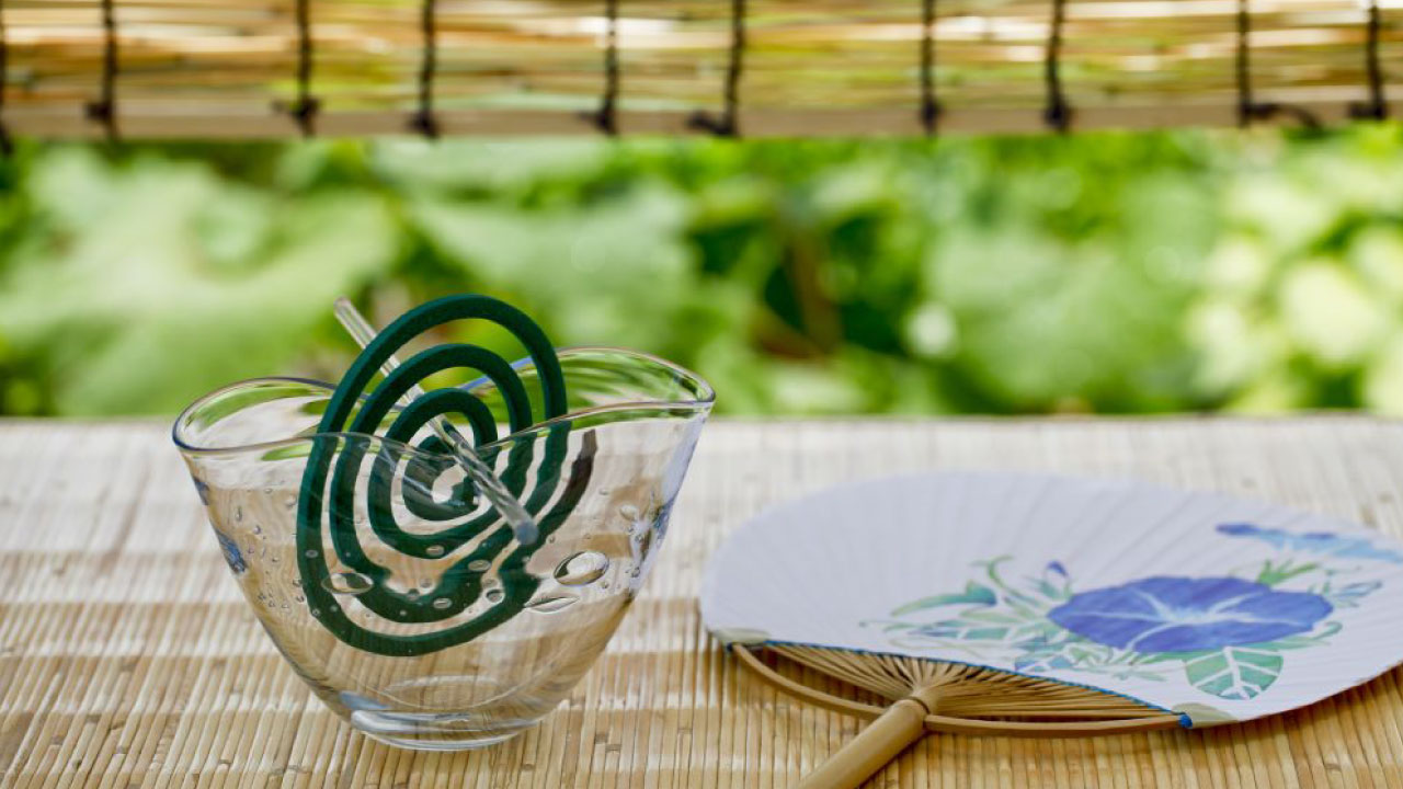 株式会社ecc 公式 蚊が気になる季節 蚊に刺された時 英語ではどう言うのでしょう 蚊は Mosquito 蚊に刺された は I Got A Mosquito Bite と言います 蚊に刺されやすい人に Mosquitoes Love You 蚊に好かれる という言い方もよく