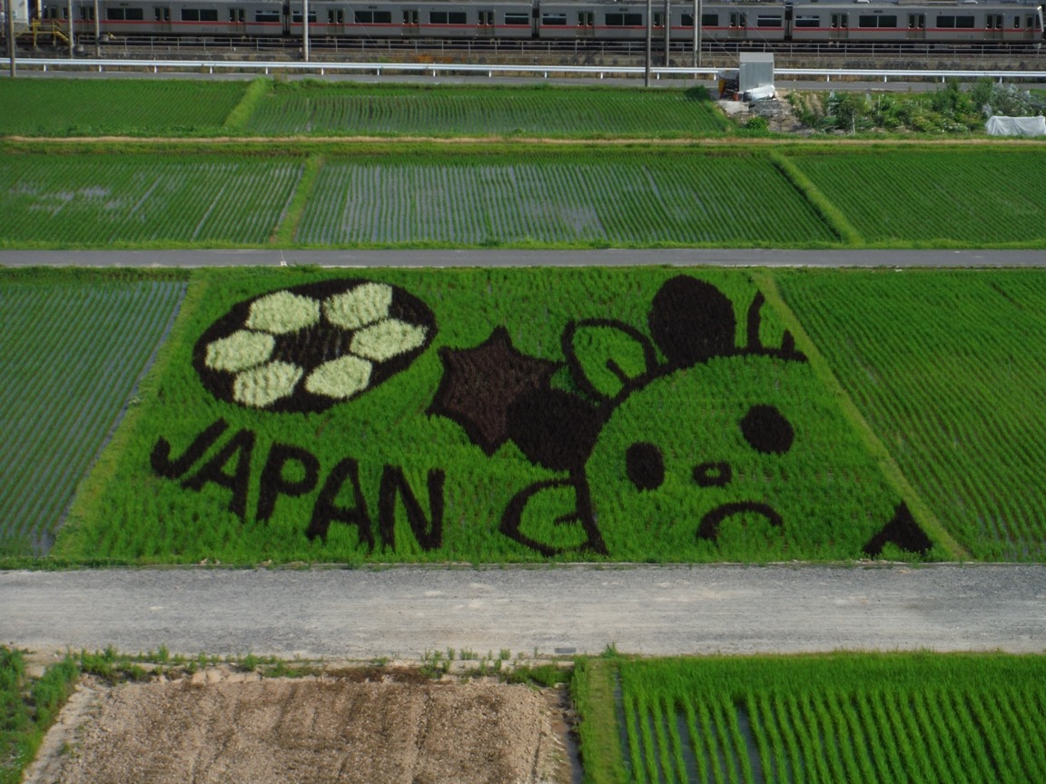 愛知旅遊指南aichi Now V Twitter 稻田藝術https T Co O414dy8av9 日文 稻田藝術是以稻田為底 使用各色稻子打造巨型文字或圖畫的藝術 愛知縣的尾張旭市每年都會在城前町的稻田中製作尾張旭市 的吉祥物 旭p 要素的稻田藝術 最佳觀賞地點是城山公園旭城4f的觀景室