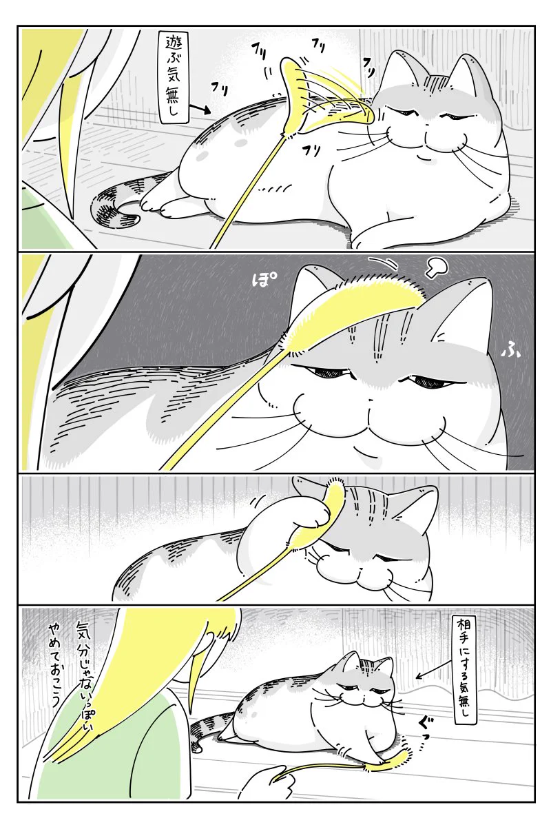 遊ぶ気はないけど離す気もない？可愛さがあふれる猫漫画が話題に！