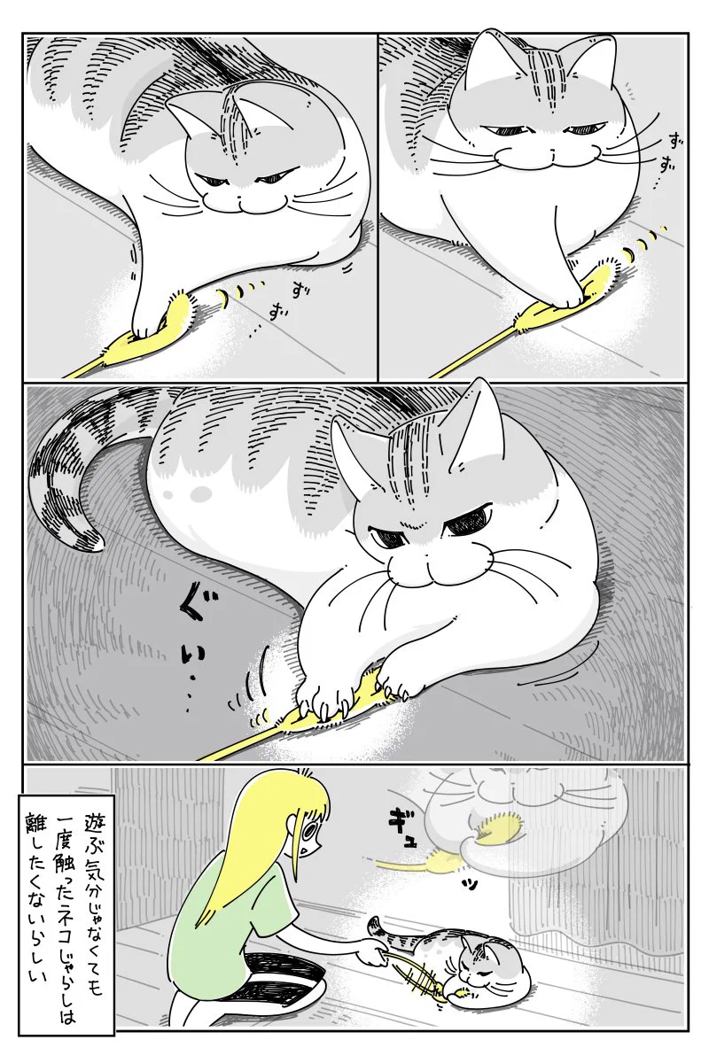 遊ぶ気はないけど離す気もない？可愛さがあふれる猫漫画が話題に！