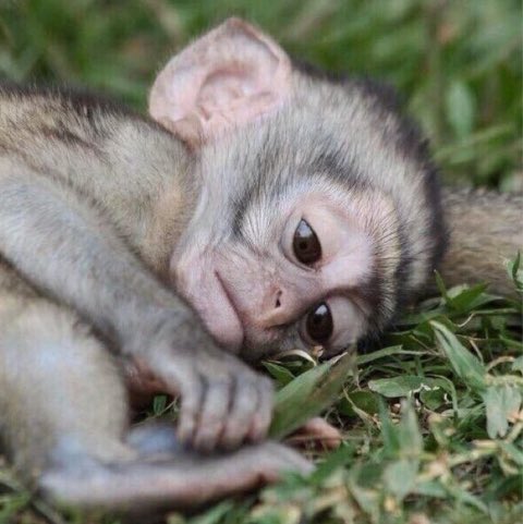 Cuando derrepente me acuerdo de cómo me trataron y me pongo a pensar por que deje que me trataran así, hasta me da vergüenza recordarlo