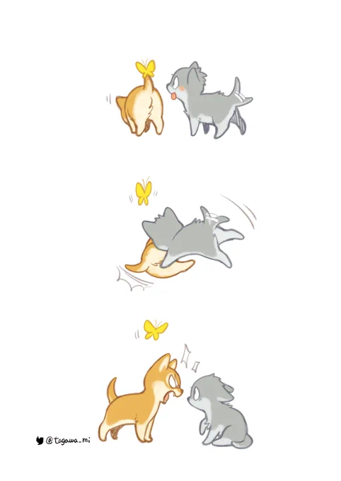 ちょうちょ #おおかみぱぱ 