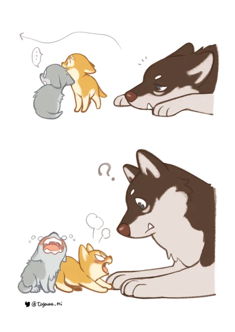 ちょうちょ #おおかみぱぱ 
