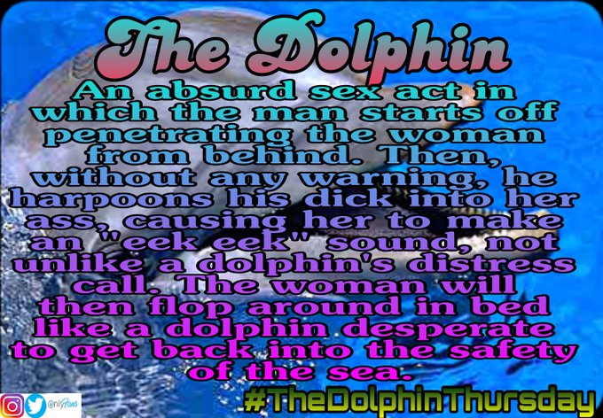 Florida hoes  be like. Happy #TheDolphinThursday https://t.co/USGg8QaYIX<a href="/tag/thedolphinthursday"class="tags">#TheDolphinThursday</a>