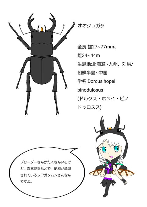 オオクワガタのtwitterイラスト検索結果 古い順