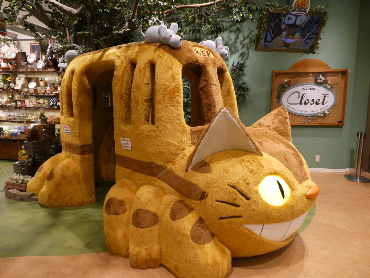 どんぐり 最新情報まとめ みんなの評判 評価が見れる ナウティスモーション 35ページ目