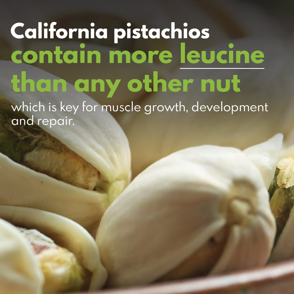 California pistachios contain more leucine than any other nut! That’s why it a go to snack for many fitness enthusiast.
.
.
.
.
#californiapistachios #pistachioprotein #vegetarian #muscledevelopment #powerofpistachios #proteinpower #supersports #extremesports #motivation #foodies