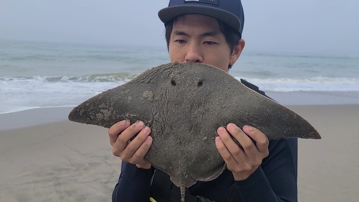 弾丸ブレイドクロス