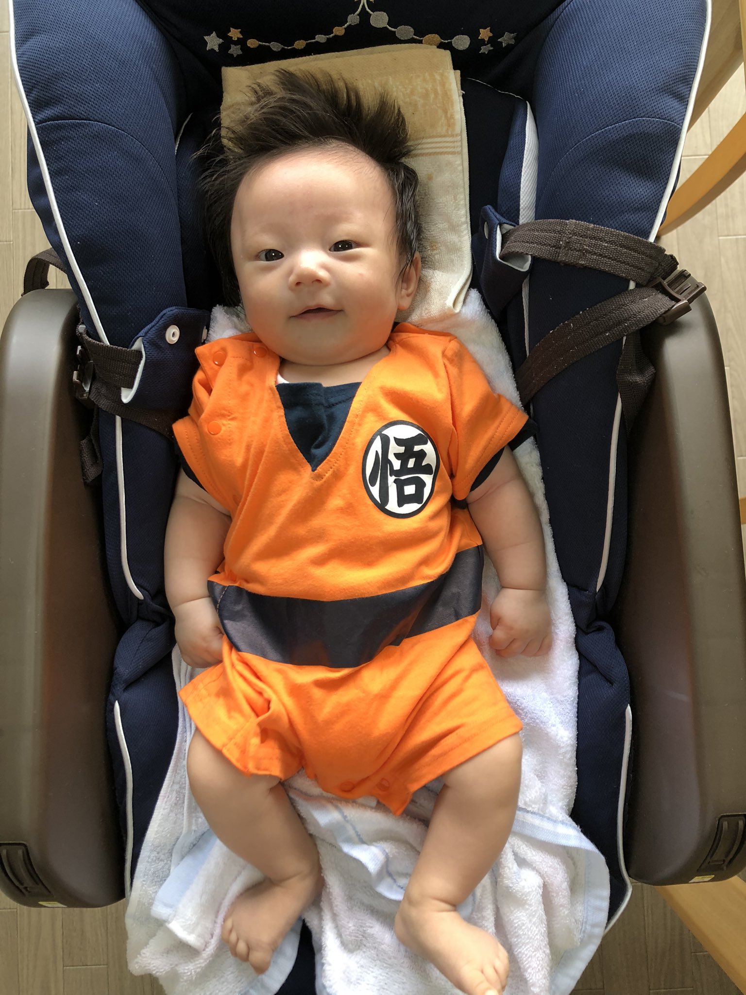 電化する 全体 丘 赤ちゃん 服 ドラゴンボール エネルギー おとなしい モニカ