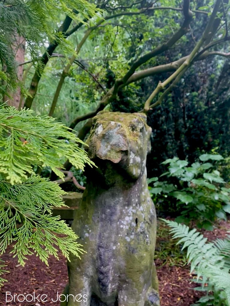 Really NEET Project tweet media