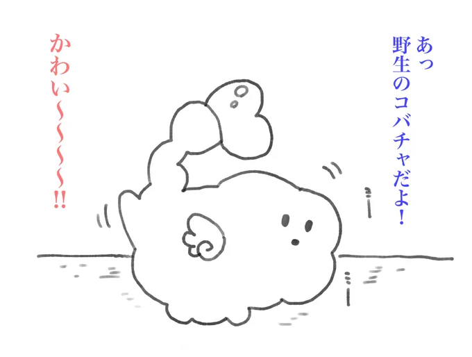 ホッキョクコバチャ
#コバチャ〜ト 