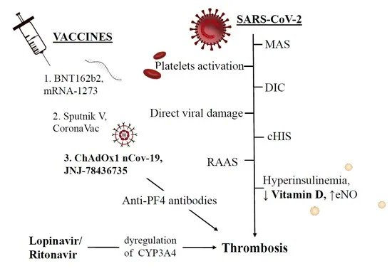 MetabolitesMDPI's tweet image. #MDPIMetabolites📗"#Thromboembolic Complications of #SARS-CoV-2 and #Metabolic #Derangements: Suggestions from #Clinical Practice #Evidence to #Causative #Agents  " by Francesco Nappi team  is available at the link:mdpi.com/2218-1989/11/6…