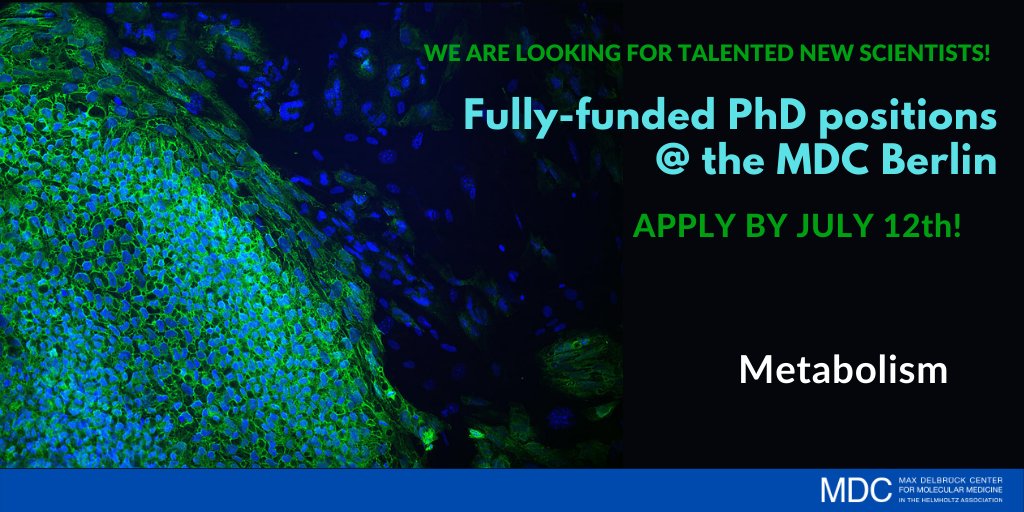 MDC_Berlin's tweet photo. Final stretch of the application period for 𝗙𝗨𝗟𝗟𝗬-𝗙𝗨𝗡𝗗𝗘𝗗 #PhDpositions in several fields, including #cardiovascular biology, medical systems biology, metabolism and imaging! Only3⃣days left – don't miss out and apply now 👉https://t.co/qUvQDlKxaw #PhDjob #PhD #PhDlife https://t.co/TdlddjNdta