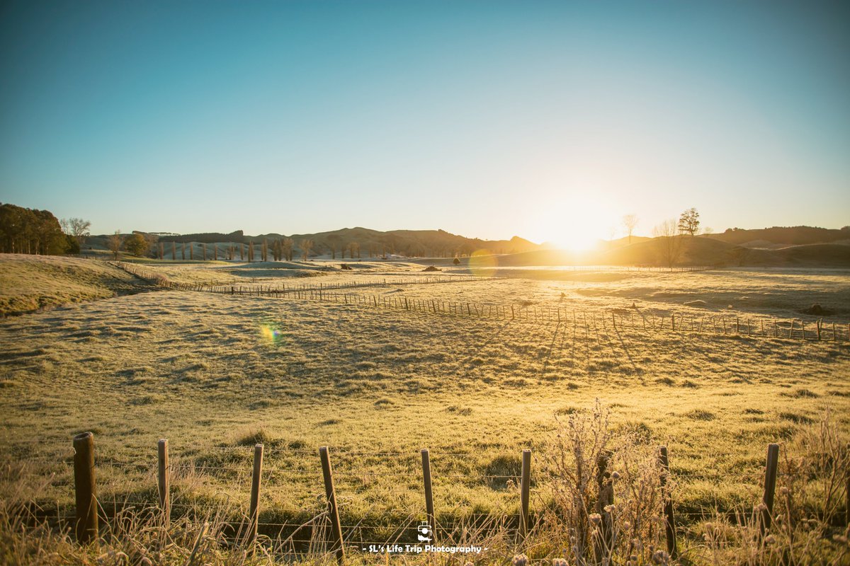 Sunrise on my road trip in New Zealand.

#newzealand #waikato #airnzfindme #airnzshareme #purenewzealand #nzmustdo #1stnewzealand #goexplorenz #totalnewzealand #newzealandwithme #newzealandphotography #newzealandtravel #canon