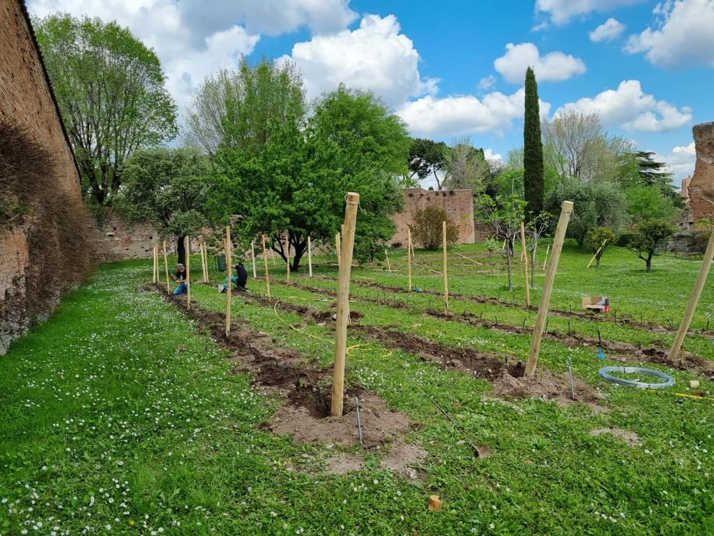 wantedinrome's tweet photo. Making #wine on the Palatine Hill. How a beautiful project in the heart of the Eternal City will offer future visitors a taste of ancient #Rome.
https://t.co/JqyhHmnOz3 https://t.co/ka7RwTPQVq