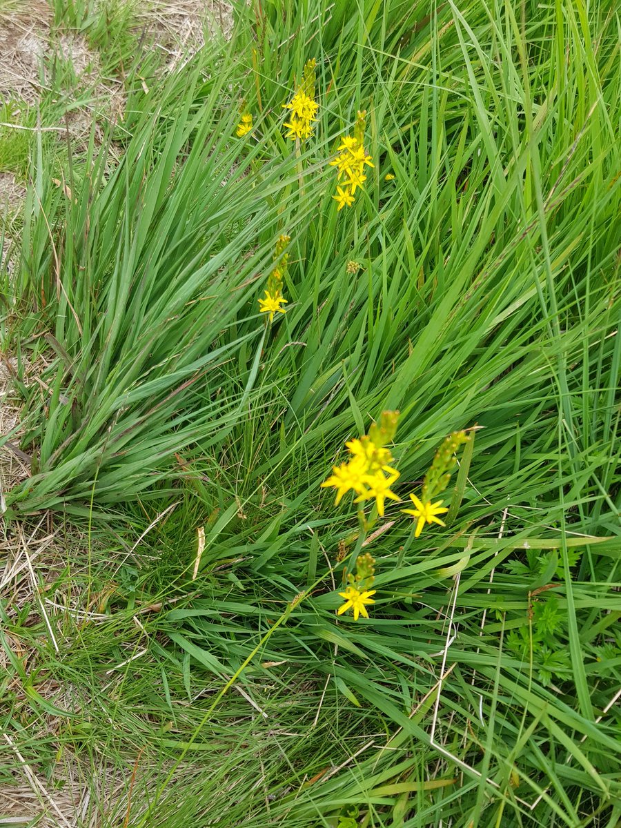 Sheila Gregory tweet media