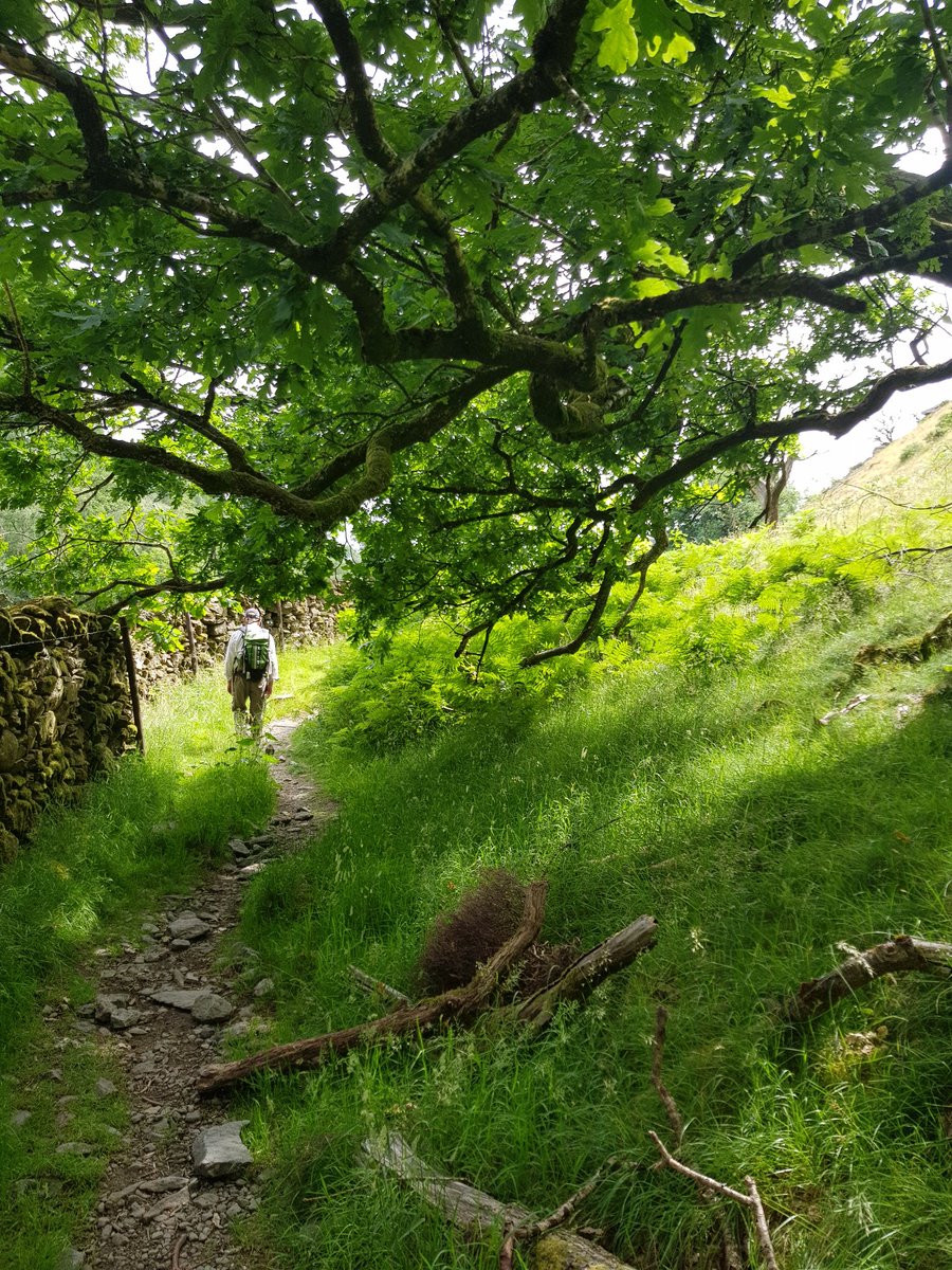 Sheila Gregory tweet media