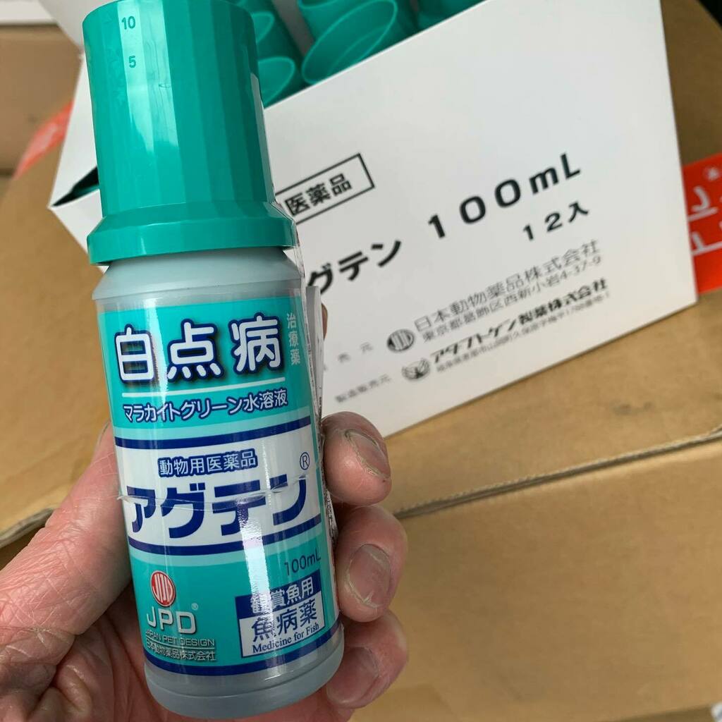 アグテン Twitter Search Twitter