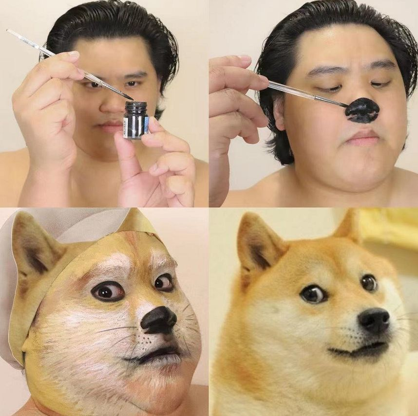 MarsisDAO's tweet photo. Here's the trick to pretend to be a #doge https://t.co/veRIG0wKq9