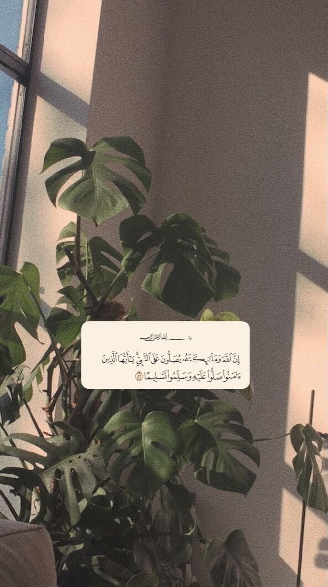 g3_dat's tweet photo. اللهم صلِ وسلم على نبينا محمد 🤎. https://t.co/QrvdsaxzQh