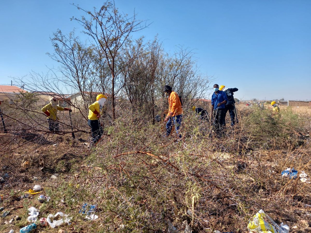 wo_fire's tweet photo. #WOF_NW's Wolmaranstad Team in partnership are hard at work cutting trees at the Tswelelang Location Ext 11.
#IntegratedFireManagement
@environmentza https://t.co/WtUqYm6H3X