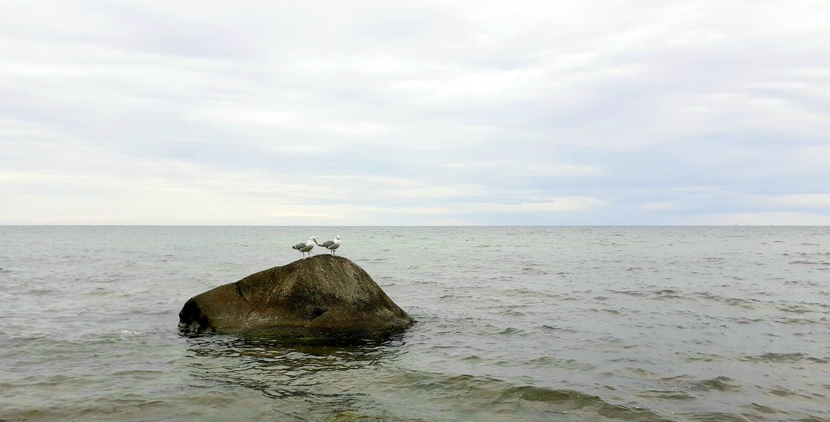 JenCreativJen's tweet image. 