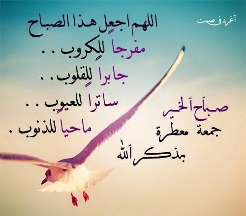 صباحكم معطر بذكر الله وجمعة مباركة
