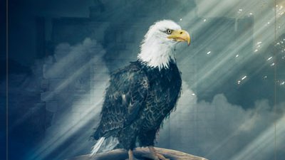 theiconical's tweet photo. Eagle EPIC2-Chapter 6
https://t.co/Fodv6lzoDH
Project details https://t.co/GK4Dyu5pdc
Win a PROMO NFT
1️⃣Join https://t.co/29MjQTXKy4
2️⃣Follow: https://t.co/N0Ay7FpMQu
3️⃣Retweet
4️⃣Comment your WAX ID on this tweet.
#NFTGiveaway #NFTartist #theiconicalgroup #NFTdrop #nftcollector https://t.co/i6HtwshvJb
