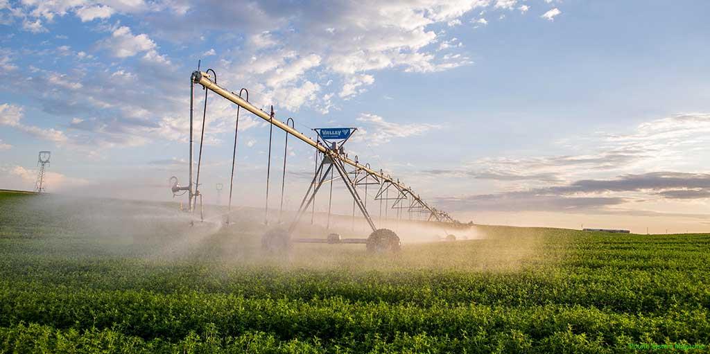 гидромелиорация орошение. Yomg'irlatib sug'orish tizimi. мелиоративные машины в сельском хозяйстве. оросительная система. развитие мелиоративного комплекса.