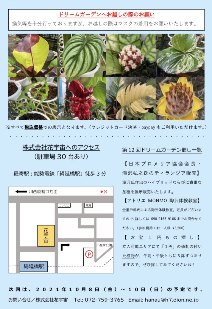 花宇宙 西畠勲造 Kunzo N Twitter 花宇宙 西畠勲造 Kunzo N Twitter