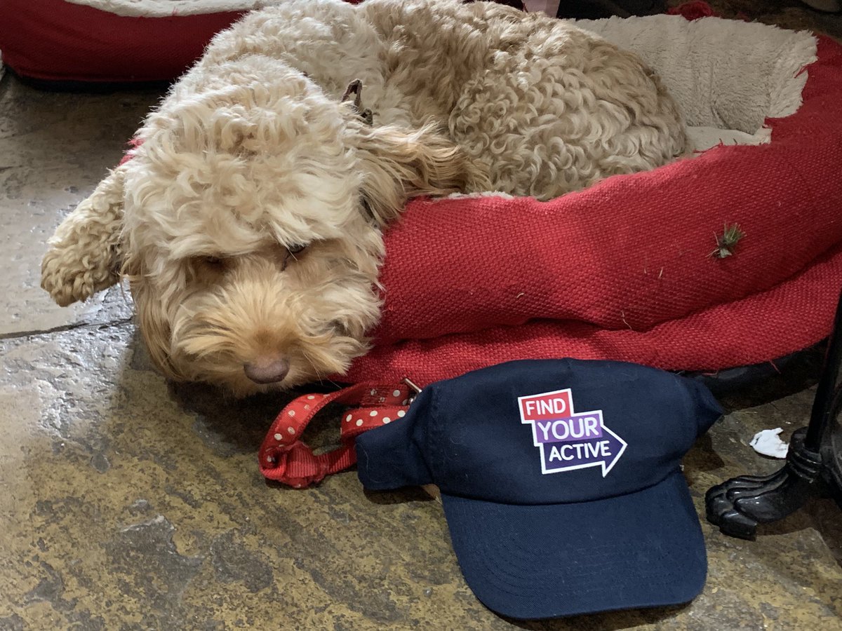 Ronan Fenton tweet media