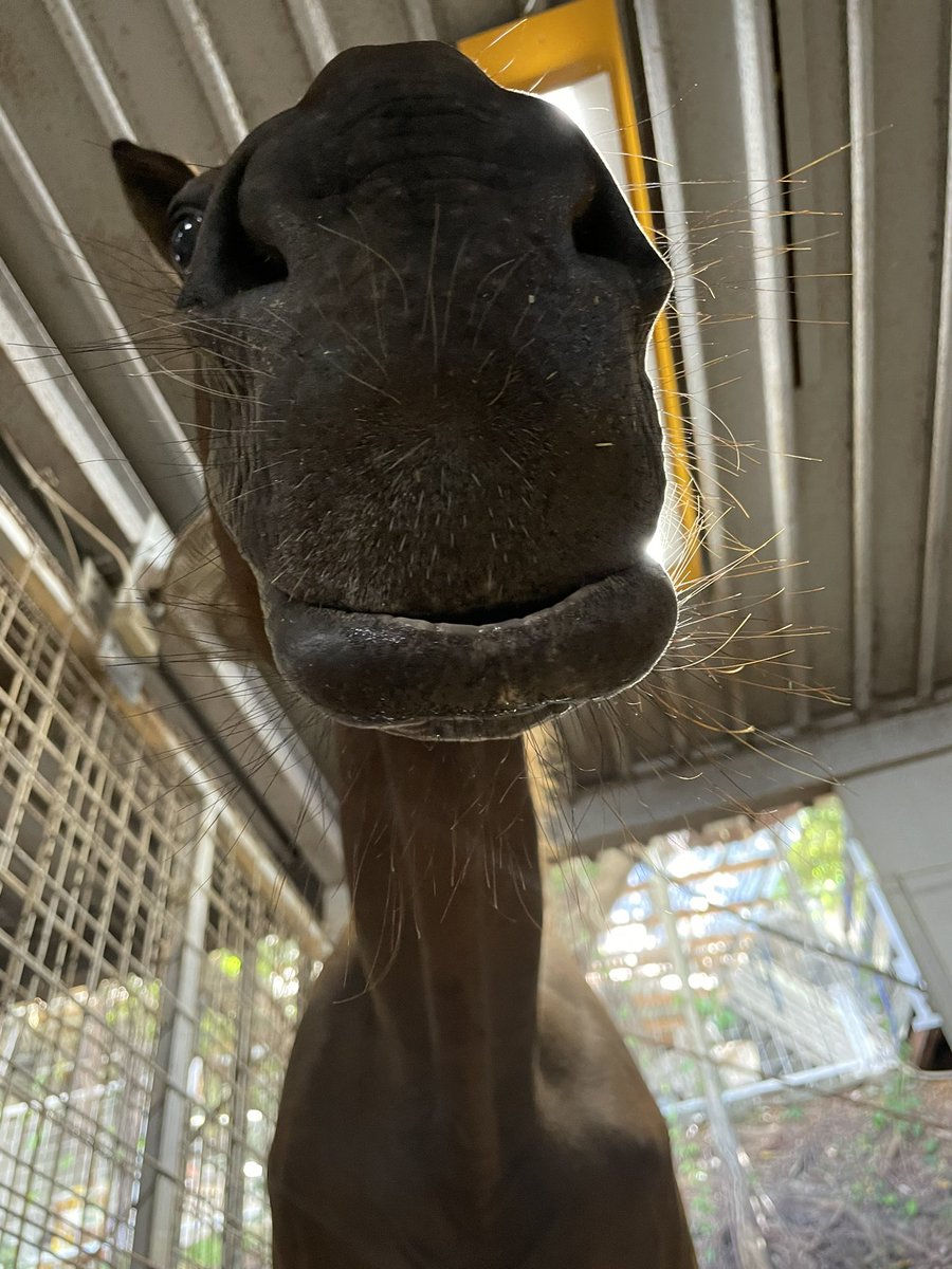 口元ゆるみまくり Twitter Search