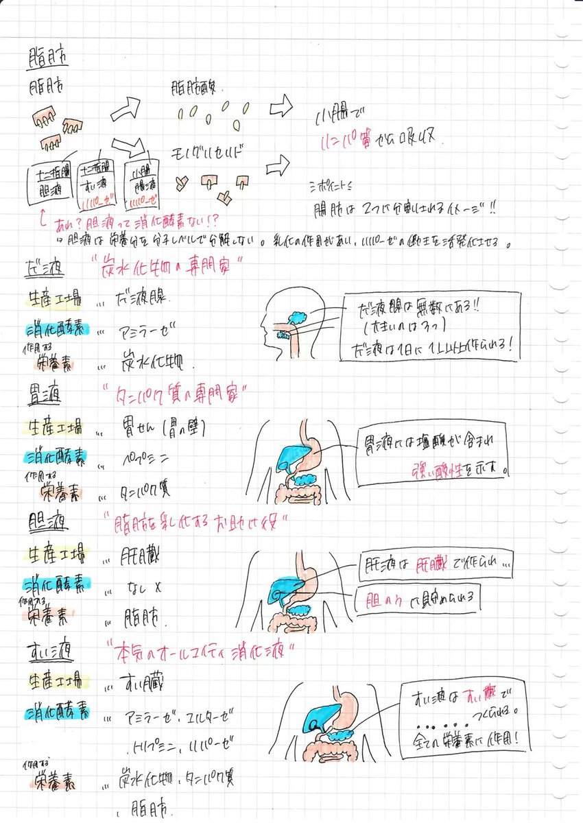 まとめノート Amazon.co.jp: キャンパス まとめがはかどる ノートふせん 小