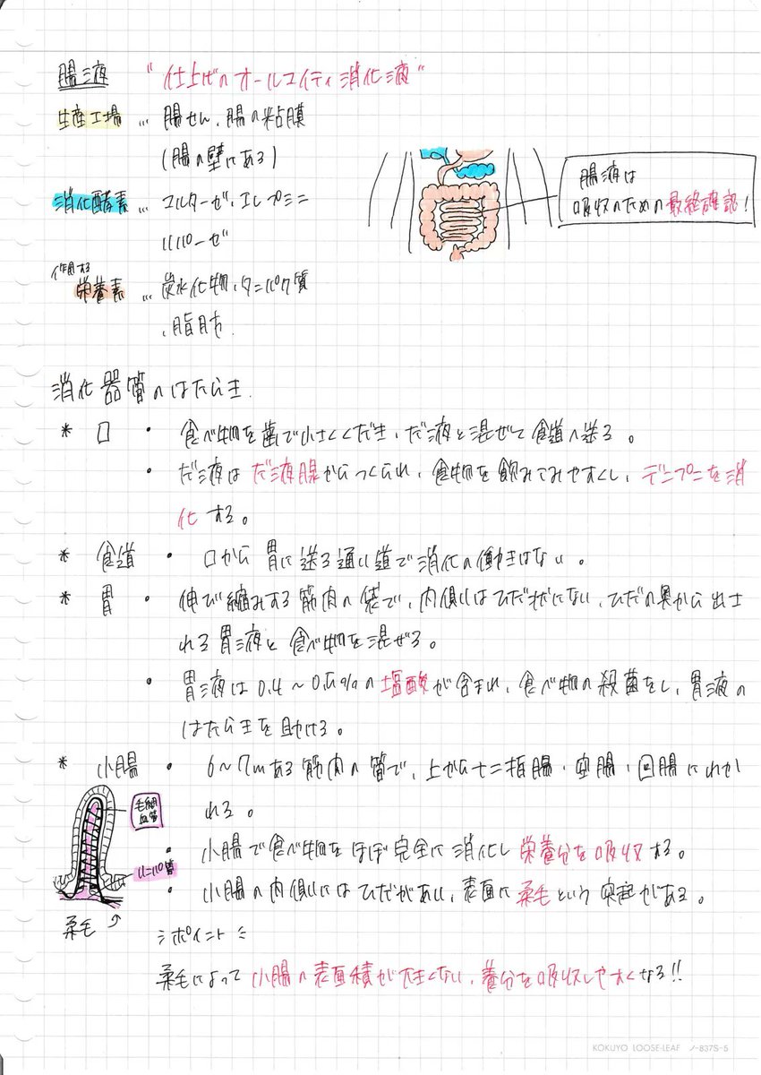 まとめノート Amazon.co.jp: キャンパス まとめがはかどる ノートふせん 小