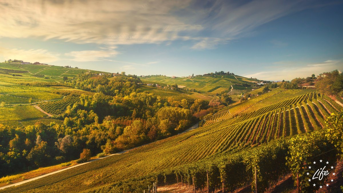 LIFEProgramme's tweet photo. #DYK that Italy's 🇮🇹 economic losses due to #climatechange are among the worst in the EU?

@SDG_Action highlighted the solution created by our #LIFEproject #LIFE ADA that will help Italian farmers 🧑‍🌾👩‍🌾 with insurance schemes adapt to climate challenges ➡️ https://t.co/wryFFfqMIM https://t.co/bOgJJByZZH