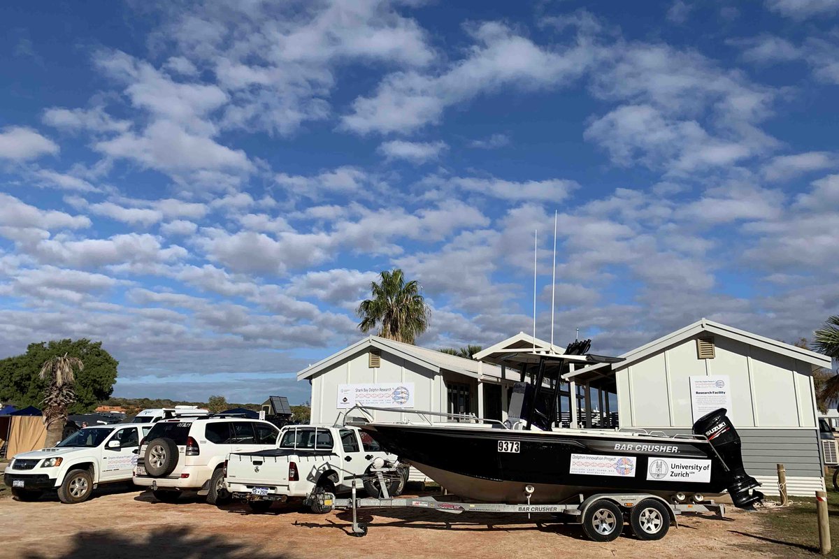 Our 2021 field season has begun and we are so happy to have our team back on the water and catching up with old friends 🐬🐬🐬 #SharkBay #Gathaagudu #dolphinresearch