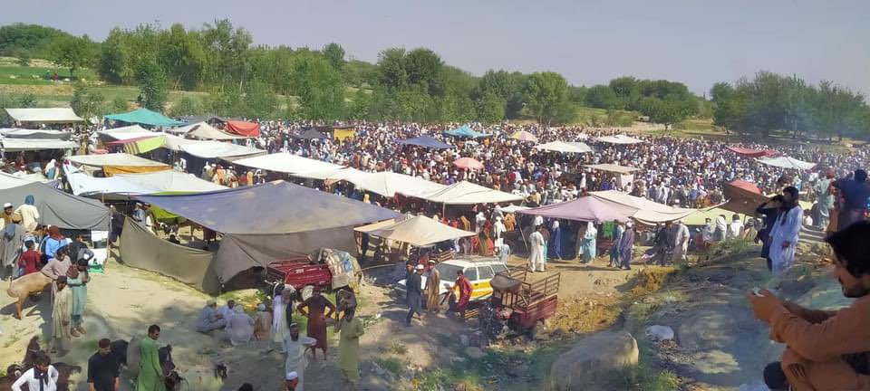 Ziaulhaq Amarkhil tweet media