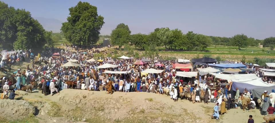 Ziaulhaq Amarkhil tweet media