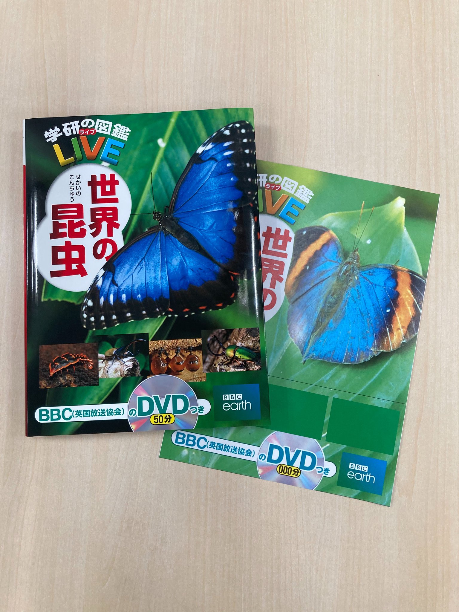 増補改訂版 日本のチョウ | 株式会社誠文堂新光社 - 生物学