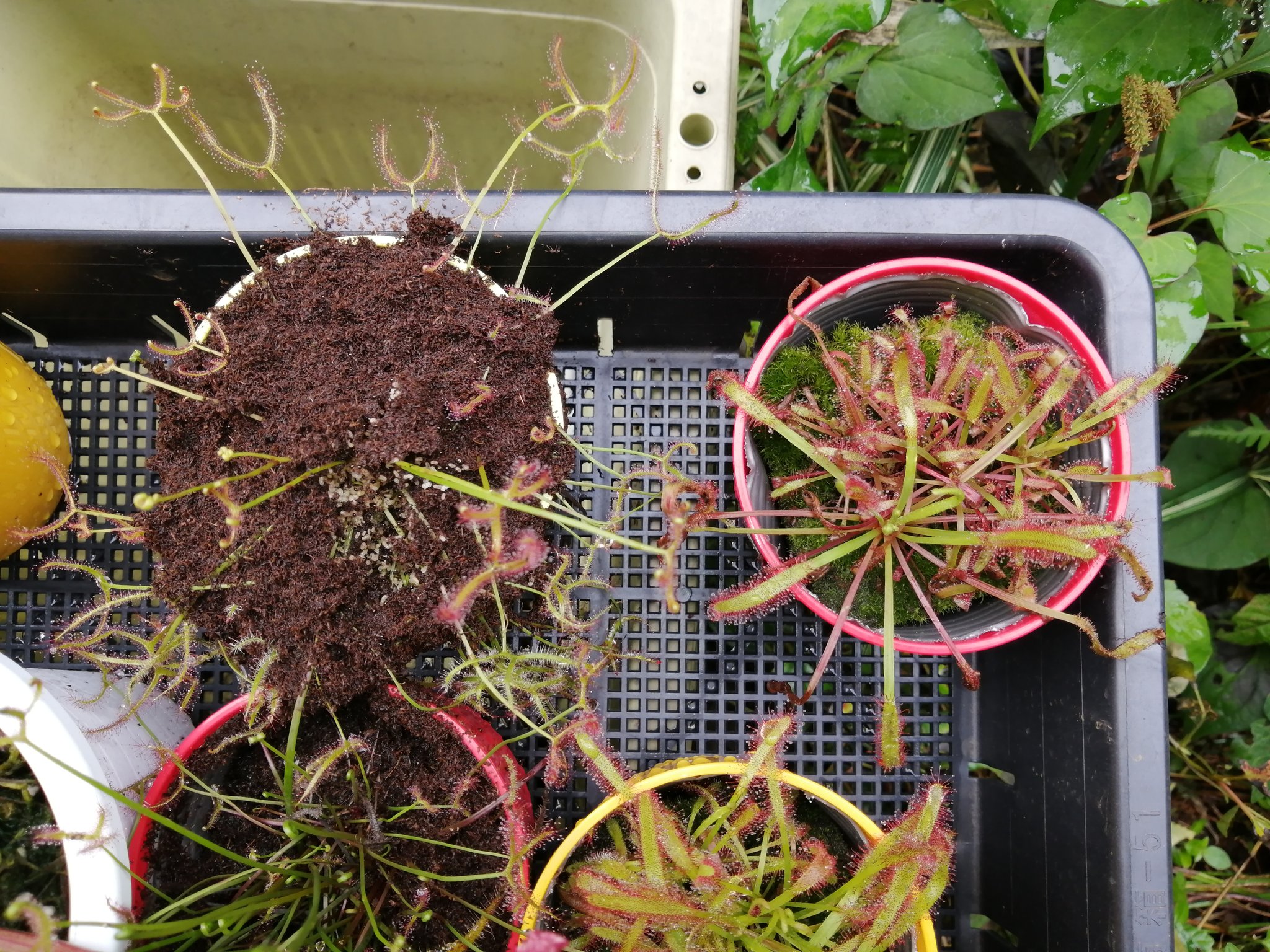 تويتر مشاهدة تغريدة Hmcfak8eaaozcxq على Twitter