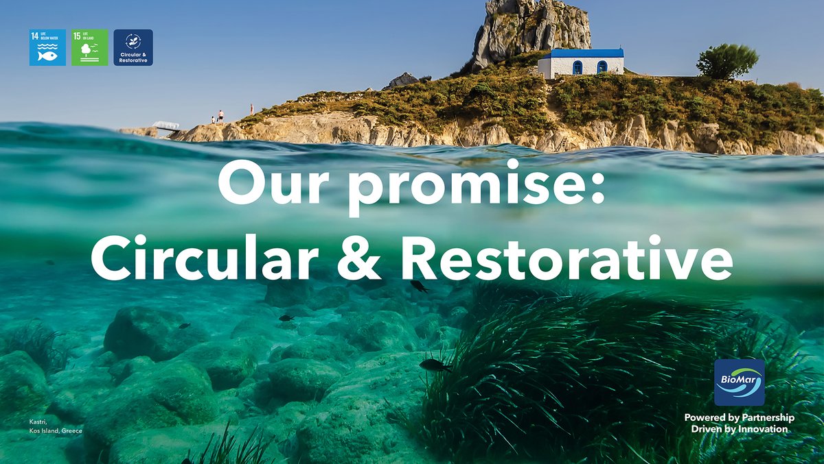 𝗢𝘂𝗿 𝗽𝗿𝗼𝗺𝗶𝘀𝗲: 𝗖𝗶𝗿𝗰𝘂𝗹𝗮𝗿 &amp; 𝗥𝗲𝘀𝘁𝗼𝗿𝗮𝘁𝗶𝘃𝗲 

Through innovation and sustainable sourcing we will redefine traditional aquaculture feed ingredients. By 2030 50 % of our raw materials will be Circular &amp; Restorative.

loom.ly/BV1Ar4M <a href="/DeepBranchBio/">Deep Branch</a>