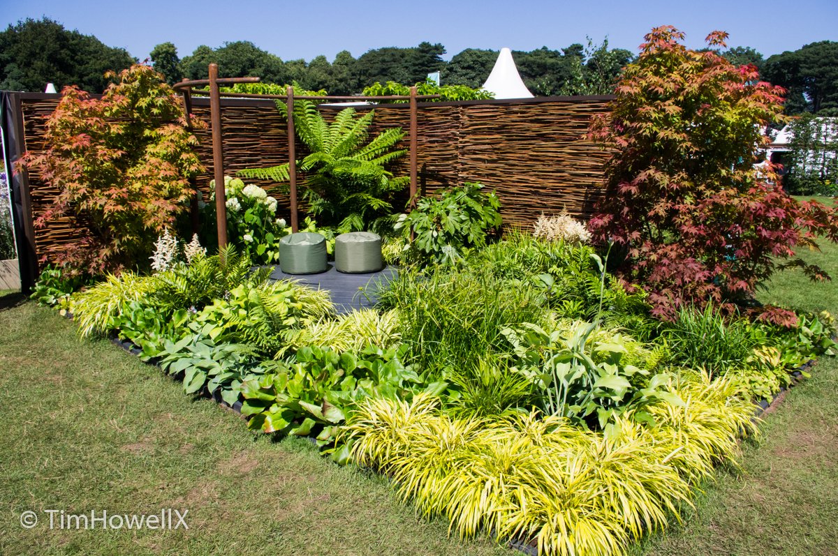 TimHowellX's tweet photo. #CountdownToTatton #RHSTatton 12 days to go. @Fraz47 Hawaiian Islands influence shows through in both his gold medal “The Green Retreat” in 2016 and the previous year’s “Urban Space”. He remains the only Irish designer to win a gold medal at Tatton https://t.co/DnJUQU55Rp