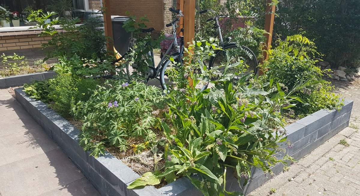 IVNNederland's tweet image. Een groener Nederland begint in je eigen tuin! Samen met andere organisaties gaan we #tuinbezitters stimuleren hun eigen #tuin en eigen straat (verder) te #vergroenen en te #verduurzamen. 🌱🌿🐝💚
bit.ly/3xvAyXB