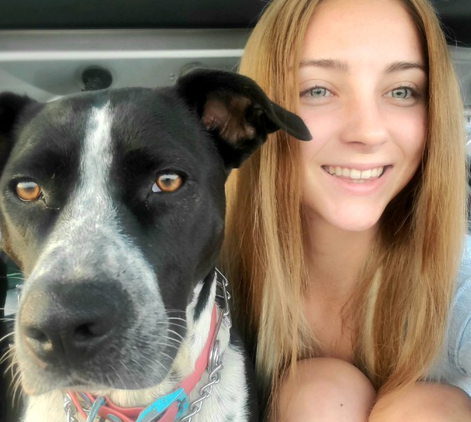 Goodmorning ❤ https://t.co/vZ03t2xRJo<a href="/tag/loveyourself"class="tags"><span>#loveyourself</span></a><a href="/tag/imstillstanding"class="tags"><span>#imstillstanding</span></a><a href="/tag/lovewillfindaway"class="tags"><span>#lovewillfindaway</span></a>