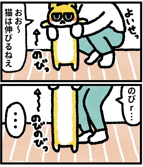 香箱座りの猫は小さく見えるけど……? 抱き上げるとビヨーーーンと伸びる"猫あるある"を描いた漫画 https://t.co/1JNkH3nKdf @itm_nlabより